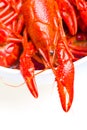 Boiled Crayfish