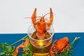 Boiled crayfish beer snack. .. Royalty Free Stock Photo
