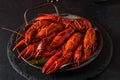 boiled crayfish on a black plate Royalty Free Stock Photo