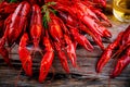 Boiled crayfish with dill and beer Royalty Free Stock Photo