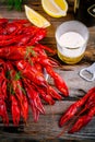 Boiled crayfish with dill and beer Royalty Free Stock Photo