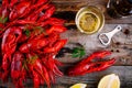 Boiled crayfish with dill and beer Royalty Free Stock Photo