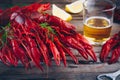 Boiled crayfish with dill and beer Royalty Free Stock Photo