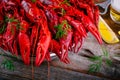 Boiled crayfish with dill and beer Royalty Free Stock Photo