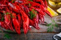 Boiled crayfish with dill and beer Royalty Free Stock Photo