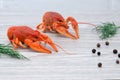 Boiled crayfish with dill and peas on the table. Royalty Free Stock Photo