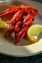 Boiled Crayfish Dinner Royalty Free Stock Photo