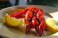Boiled Crayfish Dinner Royalty Free Stock Photo