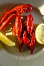 Boiled Crayfish Dinner Royalty Free Stock Photo