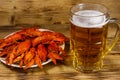 Boiled crayfish and mug of beer on wooden table Royalty Free Stock Photo