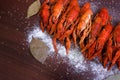 Boiled crayfish with peps on a gray wooden background Royalty Free Stock Photo