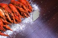 Boiled crayfish with peps on a gray wooden background Royalty Free Stock Photo