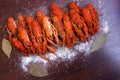 Boiled crayfish with peps on a gray wooden background Royalty Free Stock Photo