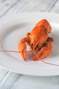 Boiled crayfish on the plate Royalty Free Stock Photo