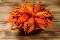 Boiled crayfish in plate on wooden table Royalty Free Stock Photo