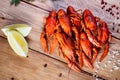 Boiled crayfish on a wooden table among spices, lemon and dill. The concept of food, beer snacks, relaxation in a bar Royalty Free Stock Photo