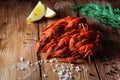 Boiled crayfish on a wooden table among spices, lemon and dill. The concept of food, beer snacks, relaxation in a bar Royalty Free Stock Photo