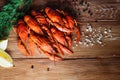 Boiled crayfish on a wooden table among spices, lemon and dill. The concept of food, beer snacks, relaxation in a bar Royalty Free Stock Photo