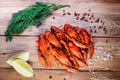 Boiled crayfish on a wooden table among spices, lemon and dill. The concept of food, beer snacks, relaxation in a bar Royalty Free Stock Photo