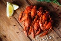 Boiled crayfish on a wooden table among spices, lemon and dill. The concept of food, beer snacks, relaxation in a bar Royalty Free Stock Photo