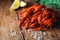 Boiled crayfish on a wooden table among spices, lemon and dill. The concept of food, beer snacks, relaxation in a bar Royalty Free Stock Photo