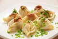 Boiled dumplings