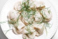 Boiled dumplings with dill are arranged in a circle on a white plate. Royalty Free Stock Photo