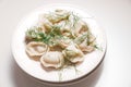Boiled dumplings with dill are arranged in a circle on a white plate. Royalty Free Stock Photo