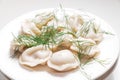 Boiled dumplings with dill are arranged in a circle on a white plate. Royalty Free Stock Photo