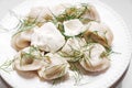 Boiled dumplings with dill and cream are arranged in a circle on a white plate. Royalty Free Stock Photo