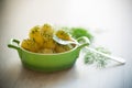 boiled early potatoes with butter and fresh dill in a bowl Royalty Free Stock Photo