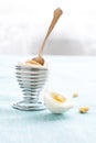 Boiled egg Royalty Free Stock Photo