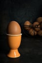 A boiled egg in a cup on a dark background Royalty Free Stock Photo