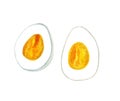 Boiled egg cut in half Royalty Free Stock Photo