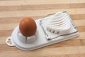 Boiled egg on the egg chopper Royalty Free Stock Photo