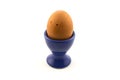 Boiled Egg in Eggcup isolated Royalty Free Stock Photo