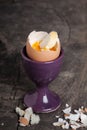 Boiled egg Royalty Free Stock Photo