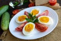 Boiled egg and fresh tomato, black bread - light diet breakfast Royalty Free Stock Photo