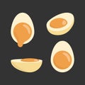 Boiled egg in the gravy cut half vector illustration