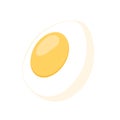 Boiled egg half cut view. Vector Royalty Free Stock Photo