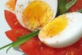 Boiled egg halves