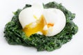 Boiled egg and spinach Royalty Free Stock Photo