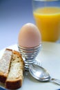 Boiled egg and toast Royalty Free Stock Photo