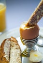 Boiled egg and toast Royalty Free Stock Photo
