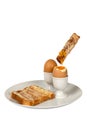 Boiled Egg and Toast Fingers Royalty Free Stock Photo
