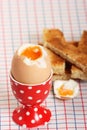 Boiled egg and toasted soldiers Royalty Free Stock Photo