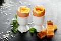 Boiled egg Royalty Free Stock Photo