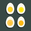 Boiled egg vector illustration