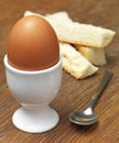 Boiled Egg