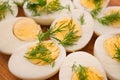 Boiled eggs with dill Royalty Free Stock Photo